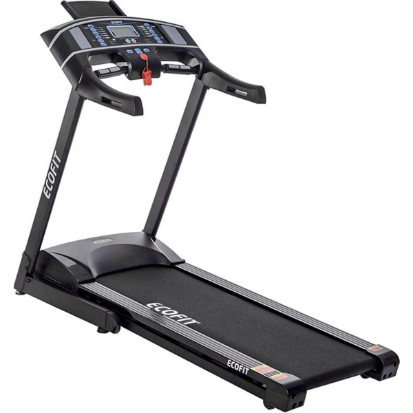 Беговая дорожка электрическая EcoFit E-W450
Беговая дорожка электрическая EcoFit E-W450