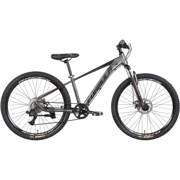 Велосипед 26" Formula ZEPHYR 3.0 DD 14" темно-серебристый с черным(м)2022 (OPS-FR-26-590)
Велосипед 26" Formula ZEPHYR 3.0 DD 14" темно-серебристый с черным(м)2022 (OPS-FR-26-590)