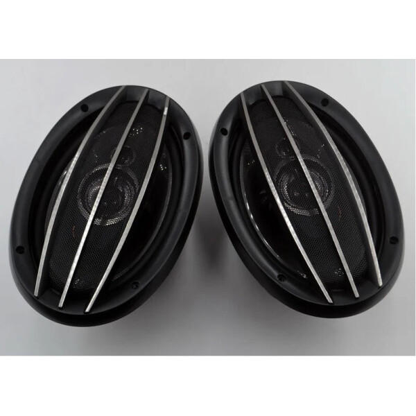 Динамики TS- 6974 ("овалы")
Динамики TS- 6974 ("овалы")