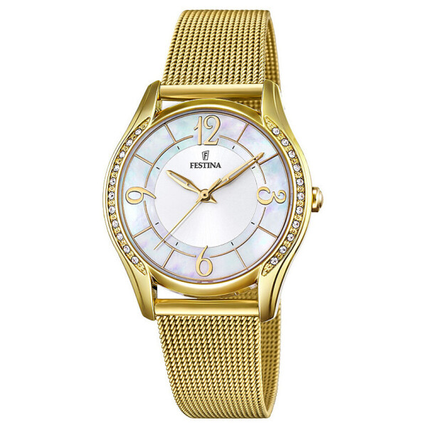 Часы Festina F20421-1
