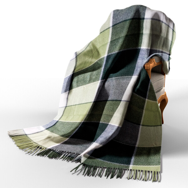 Плед Эльф бел-сал-зел VLADI 170x210 см (4176)
Плед Эльф бел-сал-зел VLADI 170x210 см (4176)