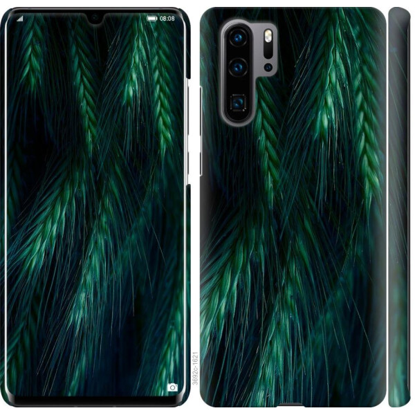 Чехол на Huawei P30 Pro Колоски (04798)
Чехол на Huawei P30 Pro Колоски (04798)