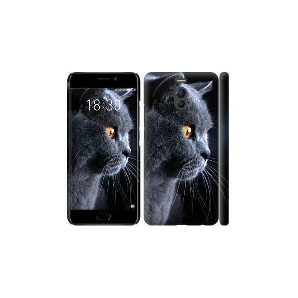 Чехол на Meizu M6 Note Красивый кот (04798)
Чехол на Meizu M6 Note Красивый кот (04798)