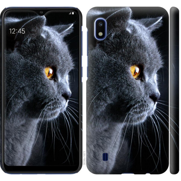 Чехол на Samsung Galaxy A10 2019 A105F Красивый кот (04798)