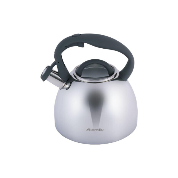 Чайник нержавеющий Kamille - 2,7 л
Чайник нержавеющий Kamille - 2,7 л