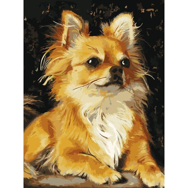 Картины по номерам - Чихуахуа 30x40 см
Картины по номерам - Чихуахуа 30x40 см