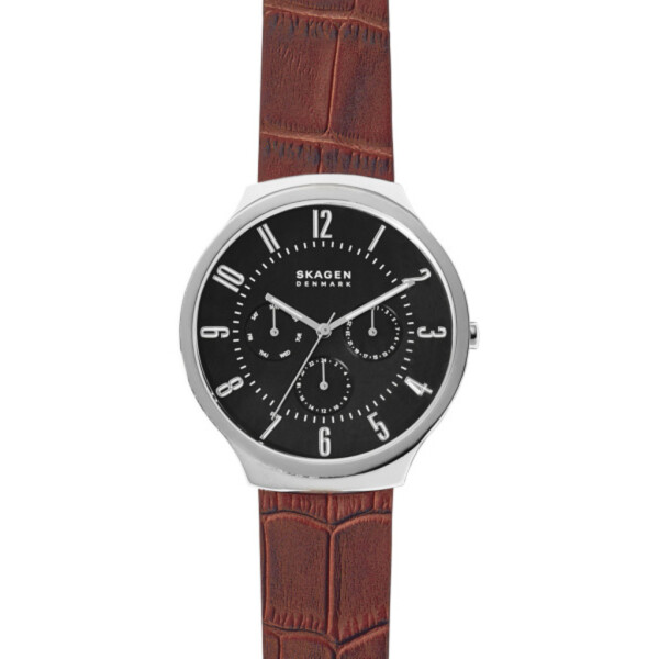 Наручные часы SKAGEN SKW6536