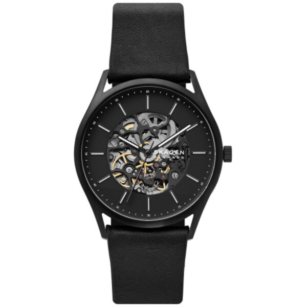 SKAGEN SKW6580
