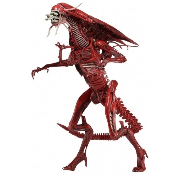 Фигурка Neca Красная Королева чужих, Чужие: Геноцид 38 см - Alien, Red Queen Mother, Aliens: Genocide
Фигурка Neca Красная Королева чужих, Чужие: Геноцид 38 см - Alien, Red Queen Mother, Aliens: Genocide