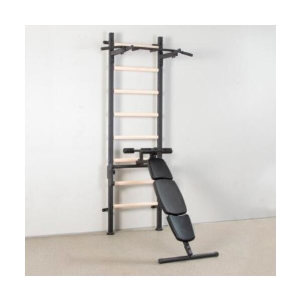 Шведская стенка с турником, брусьями, скамьей для пресса и спины Master Wood PRO L-2405 (металл, дерево, PU, 70х243х110см)
Шведская стенка с турником, брусьями, скамьей для пресса и спины Master Wood PRO L-2405 (металл, дерево, PU, 70х243х110см)