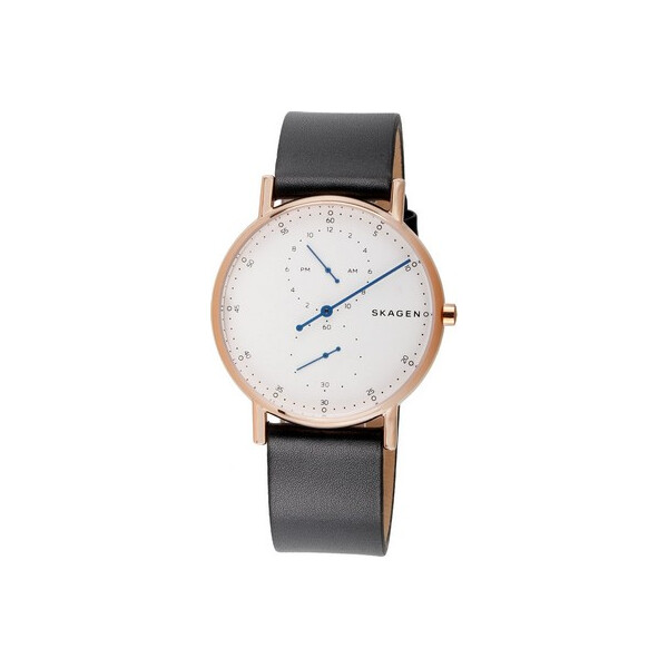 Часы Skagen SKW6390 Signatur Herren 40mm 5ATM