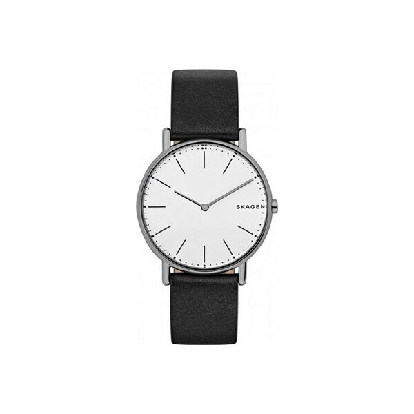 Часы Skagen SKW6419