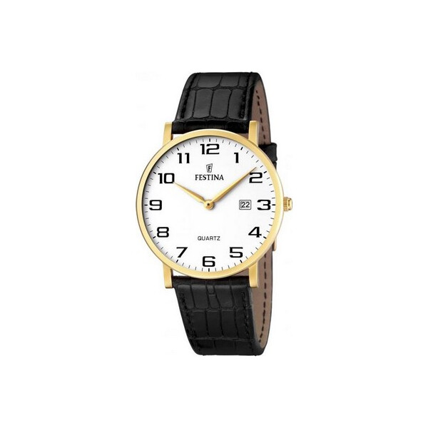 Часы Festina F16478-1