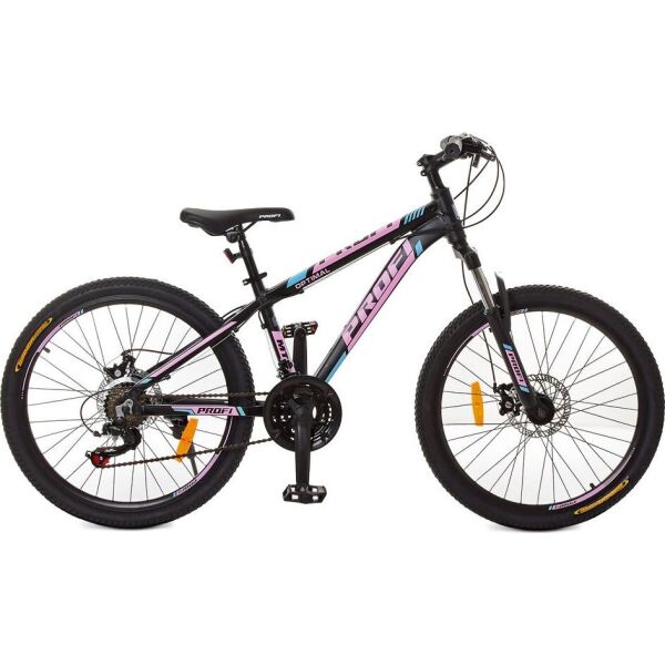 PROFI G24OPTIMAL A24.2 
PROFI G24OPTIMAL A24.2