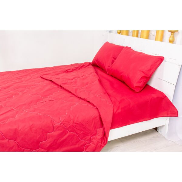 Набор MirSon №2509 EcoSilk 19-1655 Edmonda (одеяло + 2 подушки + 2 наволочки + простынь) 200х220 см + 50х70 см + 220х240 см италия, ecosilk
Набор MirSon №2509 EcoSilk 19-1655 Edmonda (одеяло + 2 подушки + 2 наволочки + простынь) 200х220 см + 50х70 см + 220х240 см италия, ecosilk