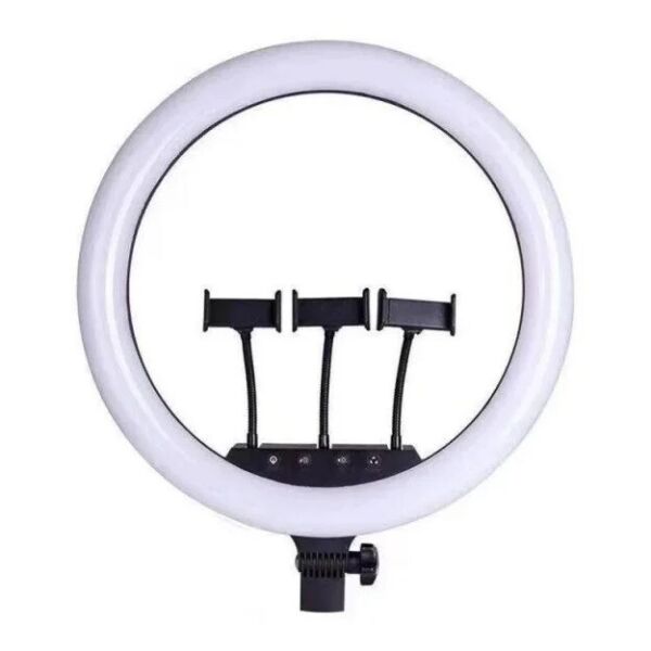 Кольцевая светодиодная LED лампа RIAS SLP-G63 55см на 3 держателя с пультом ДУ (2_009337)
Кольцевая светодиодная LED лампа RIAS SLP-G63 55см на 3 держателя с пультом ДУ (2_009337)