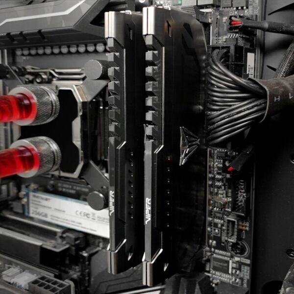 Модуль памяти для компьютера DDR4 16GB (2x8GB) 4000 MHz Viper Steel Patriot (PVS416G400C9K)
Модуль памяти для компьютера DDR4 16GB (2x8GB) 4000 MHz Viper Steel Patriot (PVS416G400C9K)