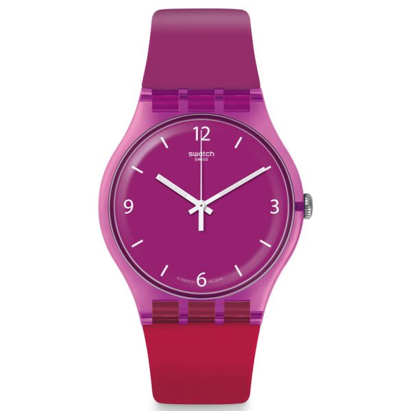 Женские Часы Swatch SUOV104