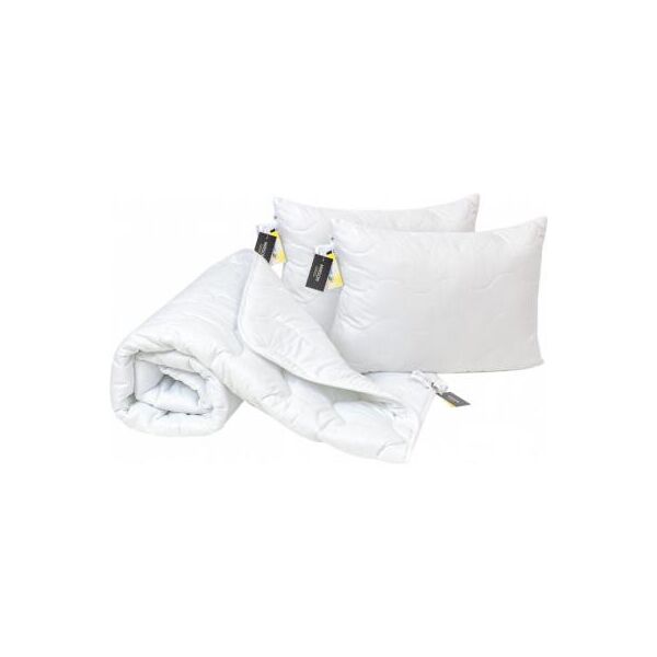 Одеяло MirSon Набор EcoSilk Всесезонный 1660 Eco Light White Одеяло + поду (2200002655132)
Одеяло MirSon Набор EcoSilk Всесезонный 1660 Eco Light White Одеяло + поду (2200002655132)