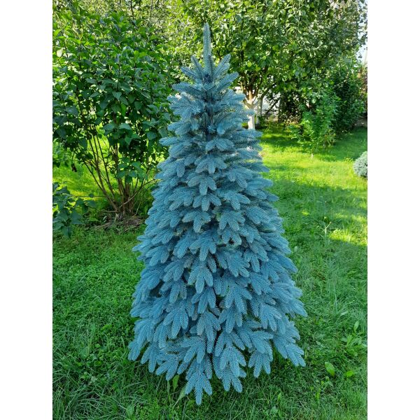 Литая Елка Швейцарская 1.50 м.голубая, на подставке, новогоднее пышное искуственное дерево, ель с иголочками 
Литая Елка Швейцарская 1.50 м.голубая, на подставке, новогоднее пышное искуственное дерево, ель с иголочками