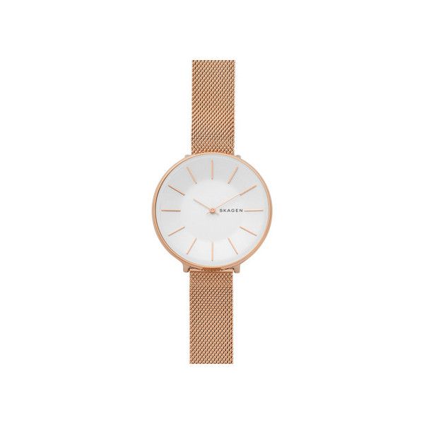 Наручные часы Skagen SKW2688