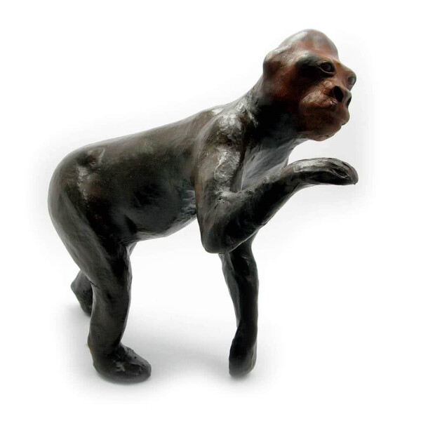 Статуэтка Kanishka Горилла Кожа (12")(35Х29Х14 см) 18692
Статуэтка Kanishka Горилла Кожа (12")(35Х29Х14 см) 18692