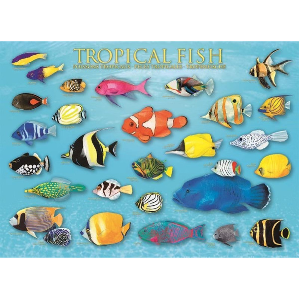 Пазл Eurographics Тропические рыбы, 1000 элементов (6000-1173)
Пазл Eurographics Тропические рыбы, 1000 элементов (6000-1173)