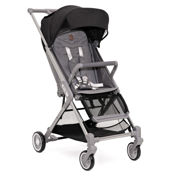 Детская коляска BabyZz Prime ( Бебизз Прайм ) Прогулочная демисезонная с 6-ти месяцев Черная
Детская коляска BabyZz Prime ( Бебизз Прайм ) Прогулочная демисезонная с 6-ти месяцев Черная