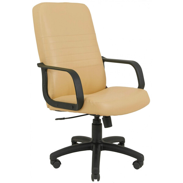 Офисное Кресло Руководителя Richman Приус Флай 2201 Пластик М1 Tilt Бежевое 
Офисное Кресло Руководителя Richman Приус Флай 2201 Пластик М1 Tilt Бежевое