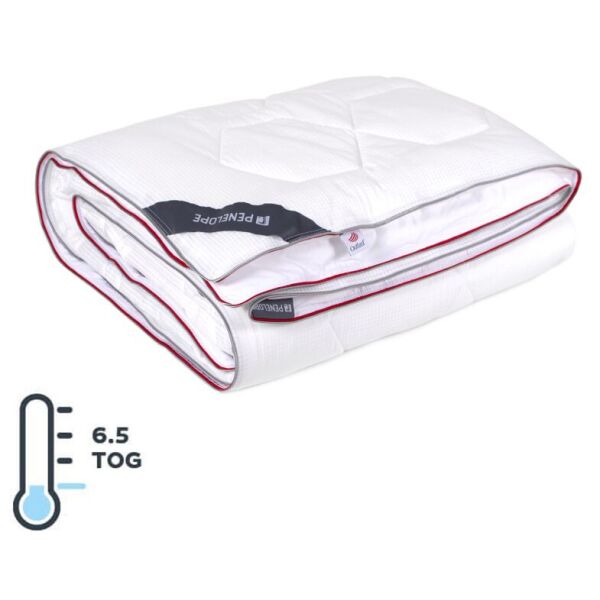 Одеяло Penelope - Thermo Lyo 6,5 tog антиаллергенное 220*240 King size (svt-2000022298933)
Одеяло Penelope - Thermo Lyo 6,5 tog антиаллергенное 220*240 King size (svt-2000022298933)