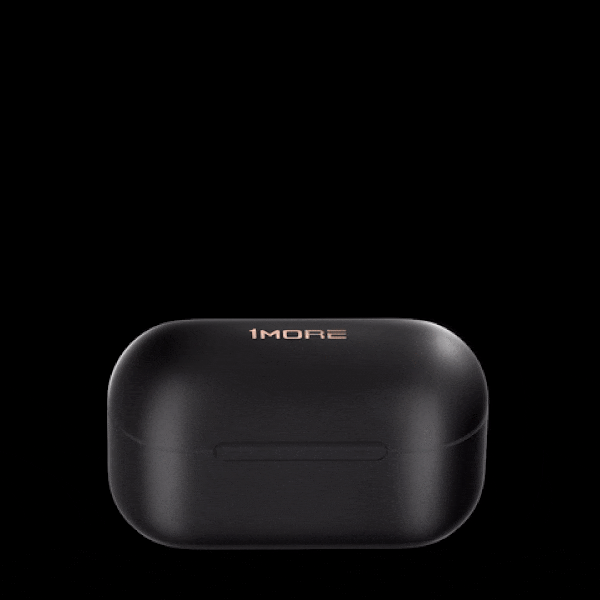 Фото 1 1MORE EVO