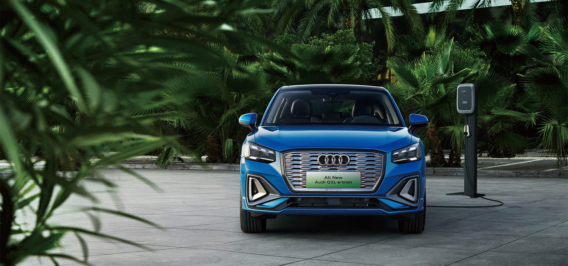 Фото 1 AUDI_Q2L