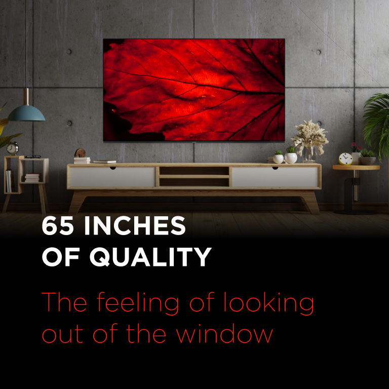 Фото 6 Aiwa 65QS8003UHD
