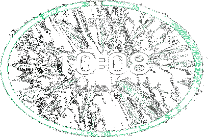 Фото 4 Amazfit T-Rex 2