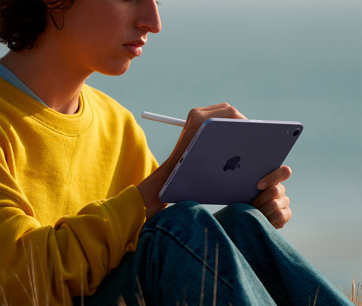 iPad mini 4 MK6L2 - купить планшет Apple iPad mini 4 MK6L2 в