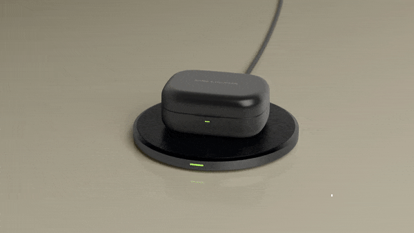 Фото 7 Bang&Olufsen Beoplay EX