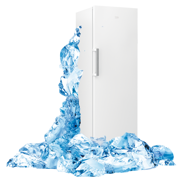 Фото 4 Beko RFNE290L21W