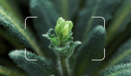 Фото Blackview Tab 60