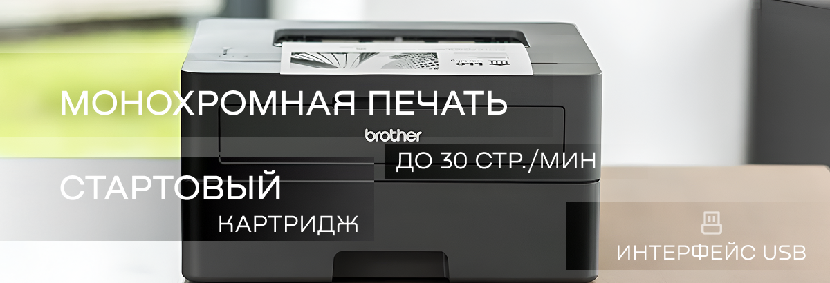 Фото Brother HL-L2402D (HLL2402DYJ1)