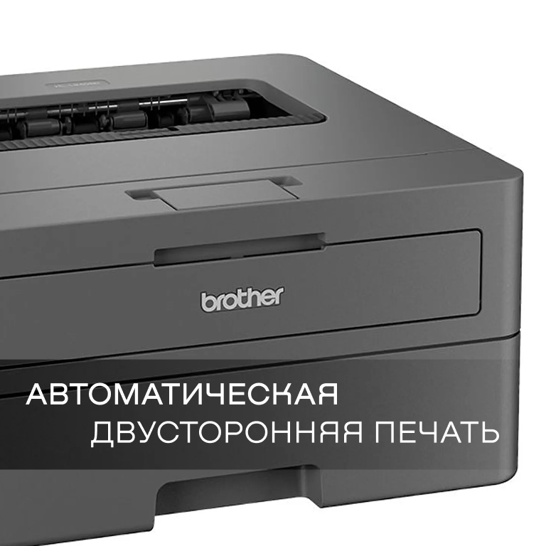 Фото Brother HL-L2402D (HLL2402DYJ1)