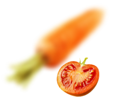 CE503