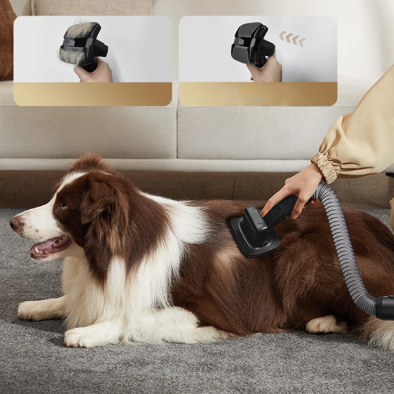 Фото 8 Dreame_Z30