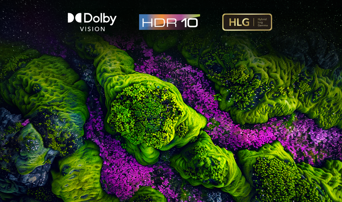 Фото 8 Ergo_65MQ95_GamePRO