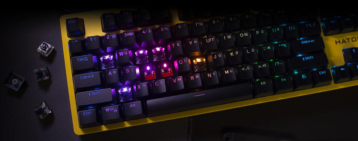 Фото 6 Hator Rockfall EVO TKL Optical