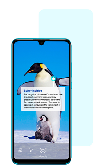 фото 12 Huawei P30 Lite