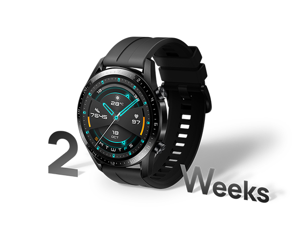 Смарт-годинник Huawei Watch GT2 42mm Sport Edition купити в АЛЛО