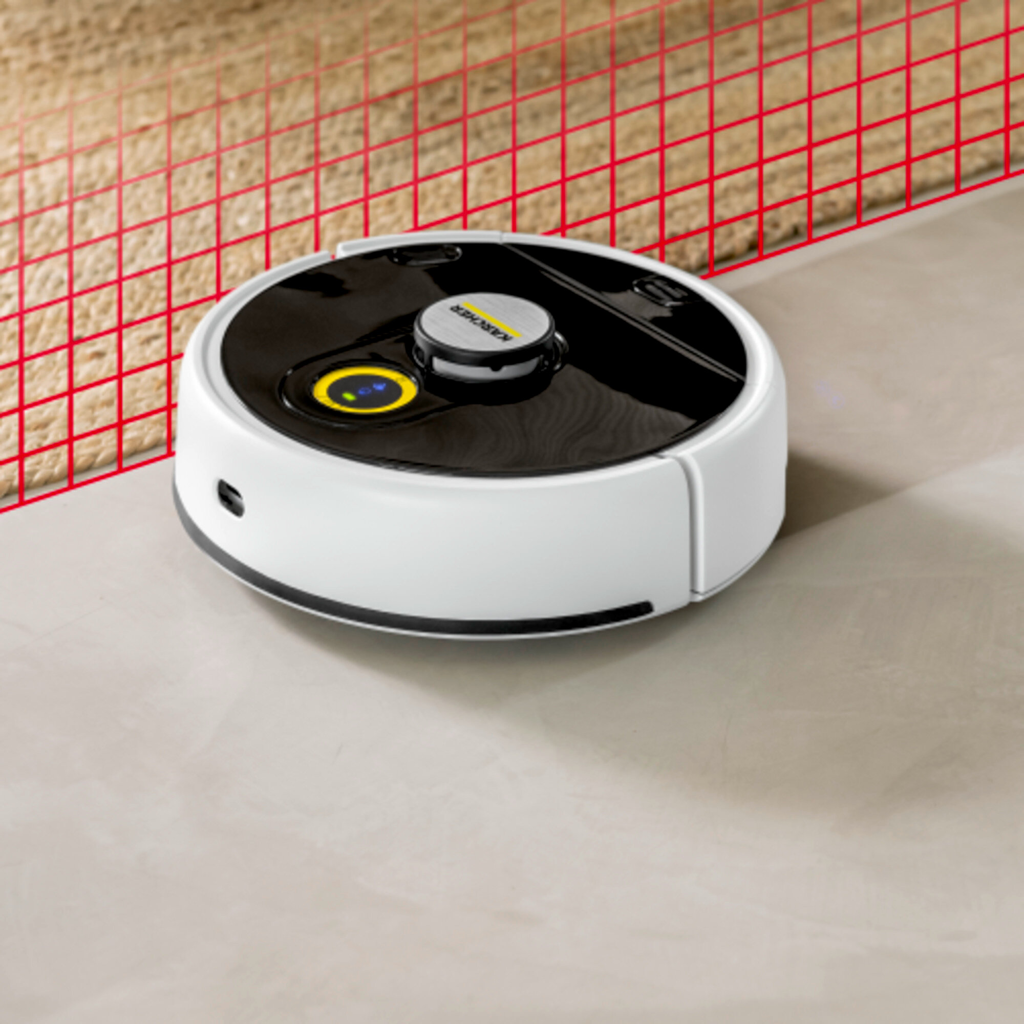 Фото 5 Karcher RCF 3