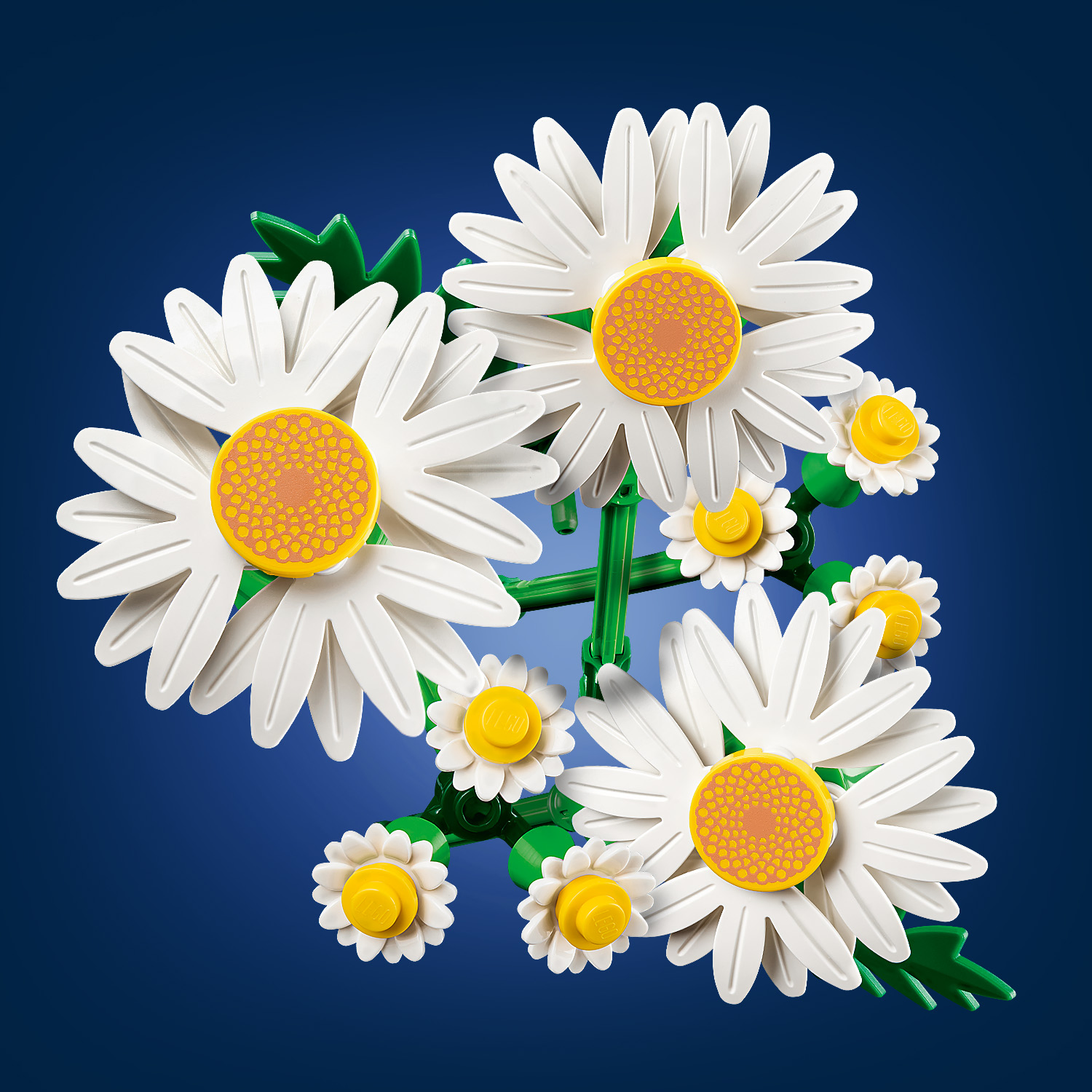 Автентичний рух