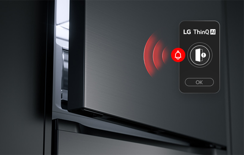 Фото LG GC-B509ETSM