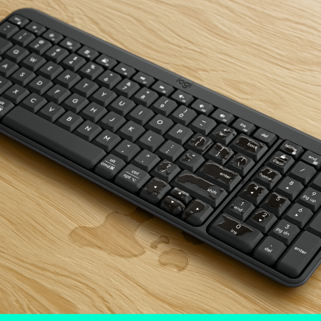 Фото Logitech K250 Wireless Keyboard Graphite